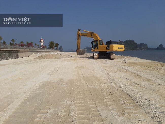 Quảng Ninh: Chủ đầu tư khu đô thị Phương Đông lấn chiếm đất, lấp bãi triều - Ảnh 2.