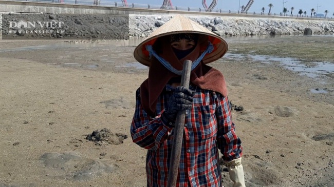 Quảng Ninh: Chủ đầu tư khu đô thị Phương Đông lấn chiếm đất, lấp bãi triều - Ảnh 1.