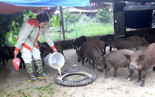 Hơn 80.000 triệu phú, tỷ phú ra đời từ phong trào hội - Ảnh 1.