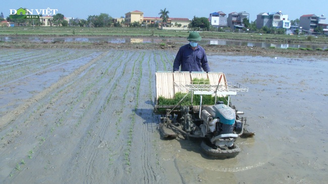 Đưa cơ giới hóa vào sản xuất nông nghiệp, nông dân Tân Kỳ phủ xanh 19.504 m2 diện tích đất ruộng bỏ hoang - Ảnh 2.