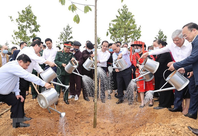 Bảo vệ rừng, chế biến và thương mại lâm sản: Sẽ sớm ban hành Nghị định riêng - Ảnh 1.