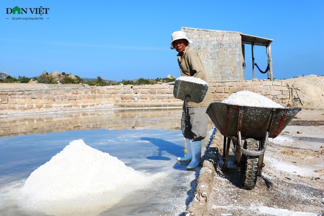 Ninh Thuận: Diêm dân đau nát lòng vì muối rớt giá thê thảm - Ảnh 4.