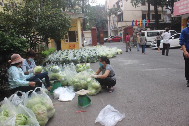 Chỉ trong vài ngày, Hội ND Hà Nội làm cách nào giúp nông dân Hải Dương, Mê Linh “giải cứu” gần 40 tấn rau? - Ảnh 2.