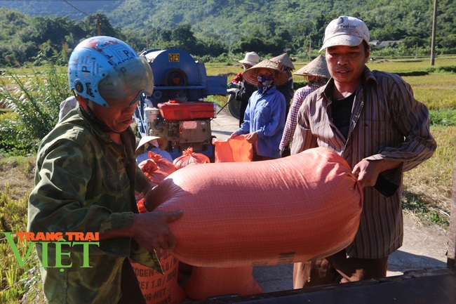 Mai Châu: Phấn đấu nâng cao thu nhập cho người dân để xóa nghèo - Ảnh 8.