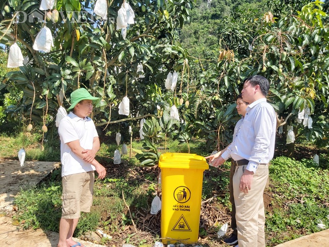 Tăng trưởng GRDP ngành nông nghiệp Sơn La cao hơn 55% so với trung bình của cả nước - Ảnh 4.