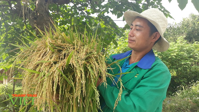 Thành phố Lai Châu trên đà phát triển - Ảnh 1.