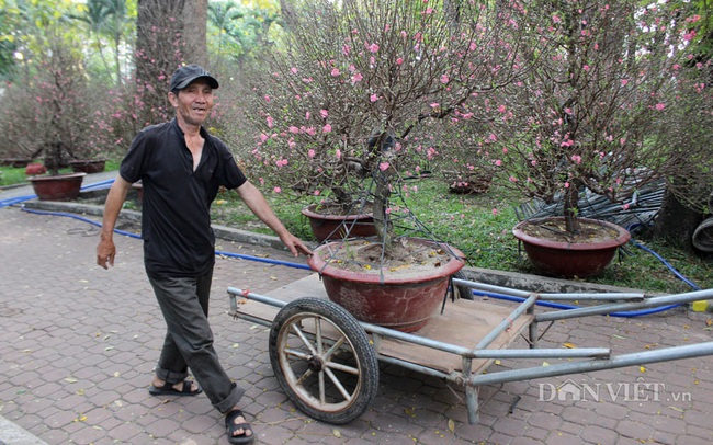 Hoa đẹp mà không về phố là có lỗi với khách hàng TP.HCM  - Ảnh 17.