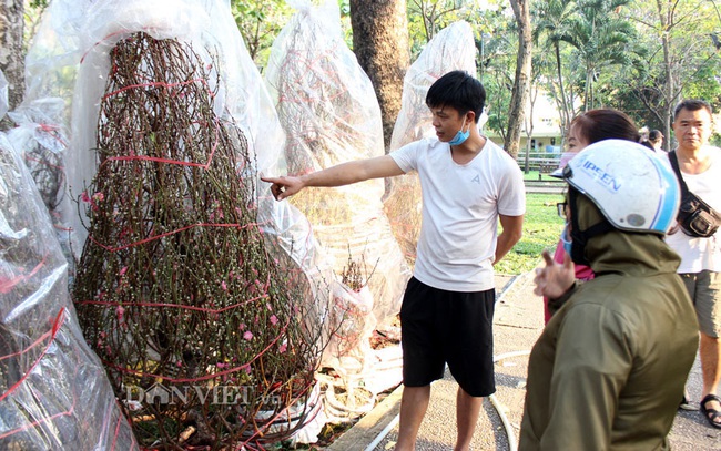 Chủ hàng giới thiệu những gốc đào đẹp cho khách ở công viên Hoàng Văn Thụ