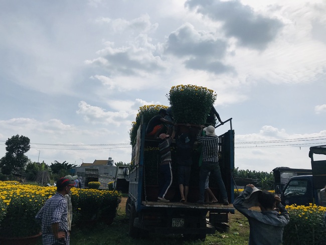 Cửu vạn &quot;bán sức&quot; dưới cái nắng chói chang kiếm nửa triệu mỗi ngày - Ảnh 13.