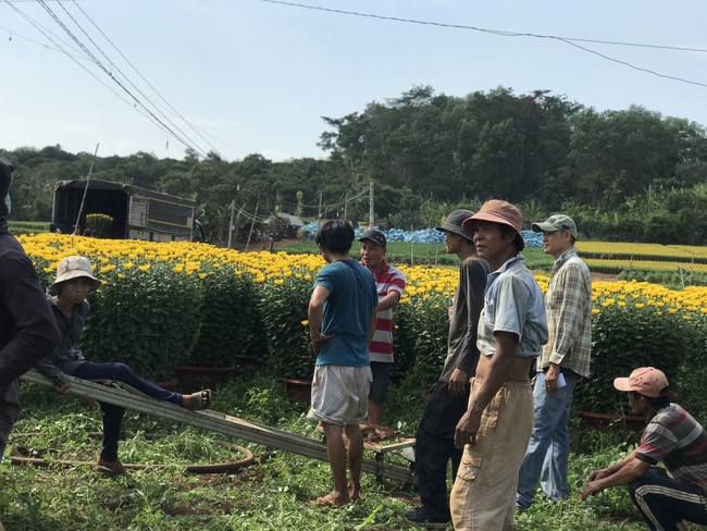 Cửu vạn &quot;bán sức&quot; dưới cái nắng chói chang kiếm nửa triệu mỗi ngày - Ảnh 11.