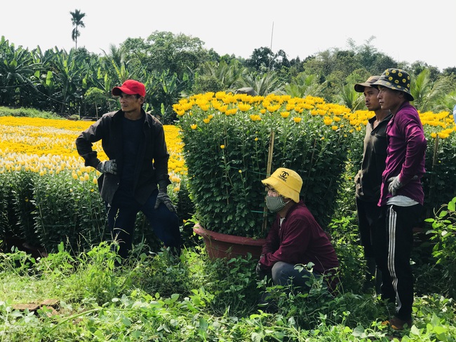 Cửu vạn &quot;bán sức&quot; dưới cái nắng chói chang kiếm nửa triệu mỗi ngày - Ảnh 9.