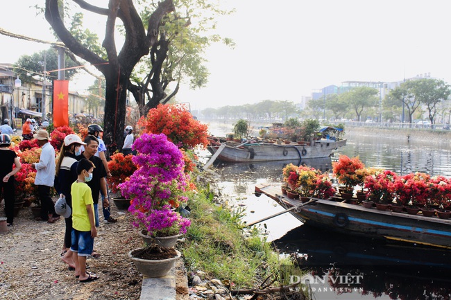 TP.HCM: Ghe hoa về bến Bình Đông sớm, nhà vườn miền Tây mong bán nhanh chừng nào mừng chừng ấy - Ảnh 1.