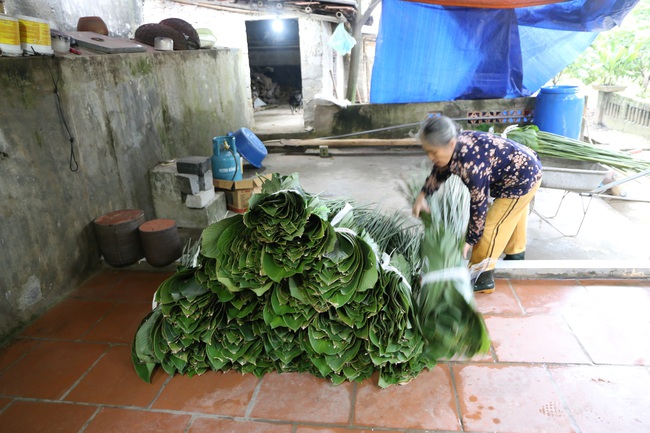 Làng lá dong lớn nhất Hà Nội vào vụ &quot;hốt bạc&quot; - Ảnh 12.