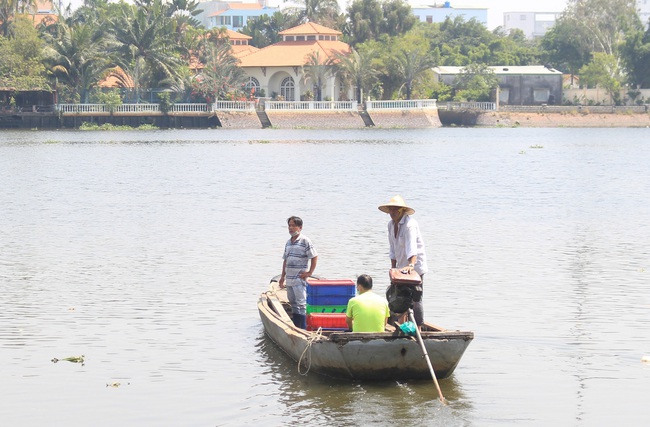 TP.HCM: Thuê ghe ra giữa sông thả cá chép vì sợ bị vợt ngay khi vừa xuống nước - Ảnh 2.