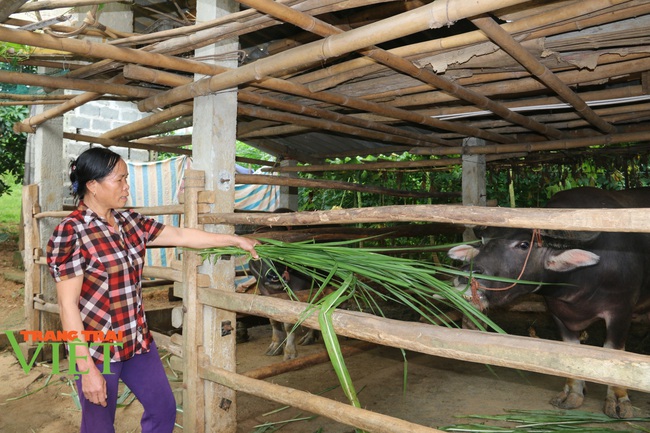 Hoà Bình: Từ sản xuất nông nghiệp manh mún, lạc hậu chuyển sang mô hình sản xuất hàng hoá - Ảnh 3.