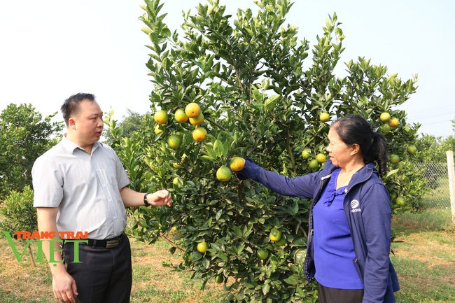 Hoà Bình: Từ sản xuất nông nghiệp manh mún, lạc hậu chuyển sang mô hình sản xuất hàng hoá - Ảnh 2.