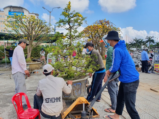 ẢNH: Tiểu thương chợ hoa Tết &quot;méo mặt&quot; vì khách đến chỉ để... chụp hình - Ảnh 7.