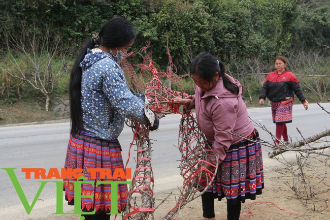 Mặc cho Covid-19 diễn biến phức tạp, từng cành đào vẫn tấp nập ra đường tìm chủ nhân - Ảnh 5.