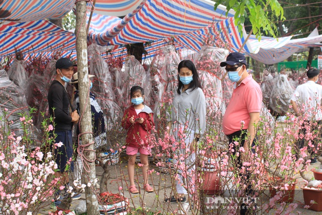 TP.HCM: Hoa đào bất ngờ bán chạy, nhà vườn, thương lái vui mừng, tính đổi vé bay về quê sớm ăn Tết - Ảnh 4.