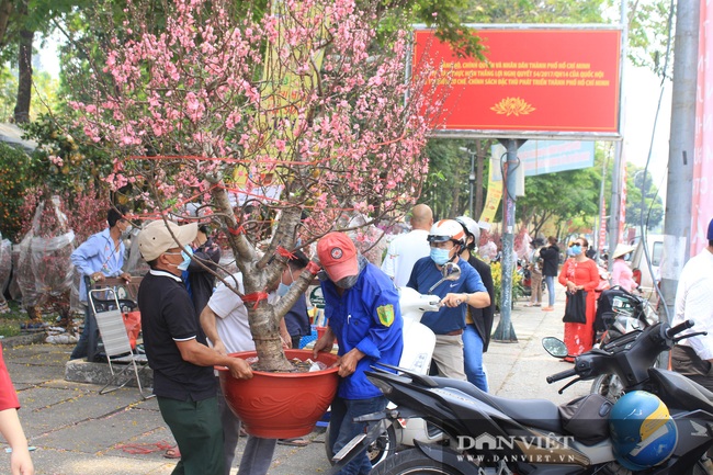 TP.HCM: Hoa đào bất ngờ bán chạy, nhà vườn, thương lái vui mừng, tính đổi vé bay về quê sớm ăn Tết - Ảnh 1.