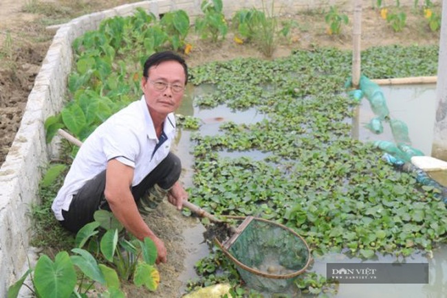 Thiệu Hóa (Thanh Hóa): Nhiều mô hình chuyển đổi đất lúa kém hiệu qua cho thu nhập cả trăm triệu/ha - Ảnh 7.