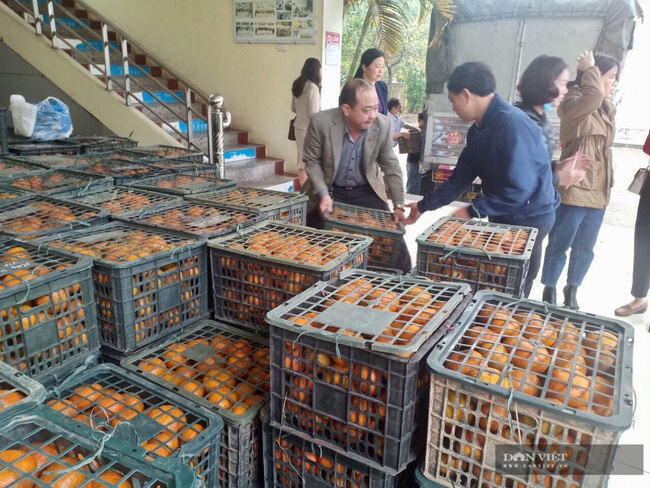 Thanh Hóa: Hội Nông dân tiêu thụ 30 tấn cam sành cho nông dân Hà Giang - Ảnh 1.