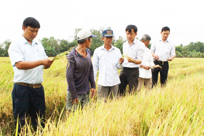 Thủ tướng Nguyễn Xuân Phúc sẽ chủ trì hội nghị sơ kết 3 năm thực hiện Nghị quyết 120 tại Cần Thơ - Ảnh 2.