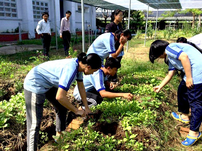 Nhật Bản viện trợ hai dự án nông nghiệp, giáo dục cho Đồng Tháp, Trà Vinh, Kiên Giang - Ảnh 1.