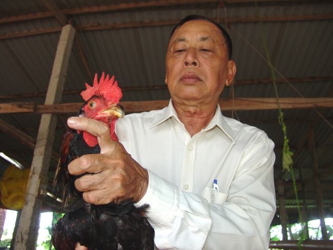 Sản xuất theo chuẩn, không lo giải cứu - Ảnh 3.