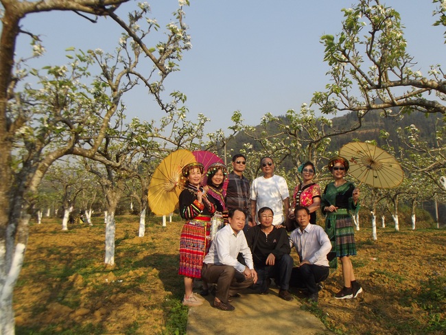 Huyện Bắc Hà (Lào Cai) phát triển cây ăn quả ôn đới: Thu tiền bán quả, hút khách du lịch  - Ảnh 1.