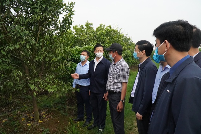 Bắc Ninh: Xây dựng nông thôn mới nâng cao &quot;không châm trước&quot; tiêu chí về môi trường - Ảnh 1.