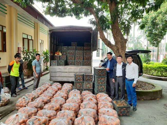 Hội ND Hà Nội mua ủng hộ 30 tấn cam sành Hà Giang - Ảnh 2.