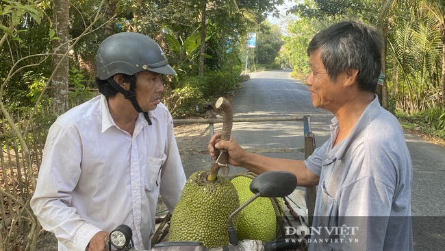 Giá mít Thái hôm nay 12/3: Giá tăng nhẹ, người dân đang có lợi - Ảnh 1.