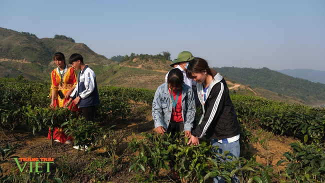 Chính sách hỗ trợ sản xuất “tiếp sức” cho nông nghiệp Sìn Hồ phát triển - Ảnh 3. Chính sách hỗ trợ sản xuất “tiếp sức” cho nông nghiệp Sìn Hồ phát triển - Ảnh 3.