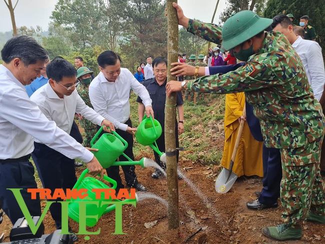 Điện Biên: Phát động trồng 10.000 cây hoa ban “Vì một Việt Nam xanh” - Ảnh 3.