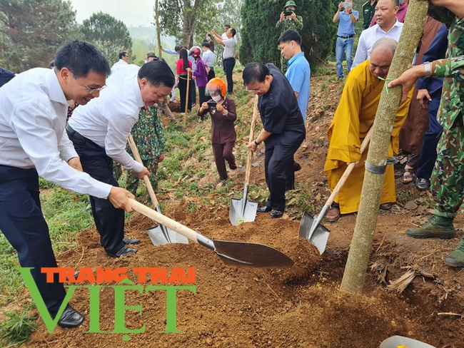 Điện Biên: Phát động trồng 10.000 cây hoa ban “Vì một Việt Nam xanh” - Ảnh 1.
