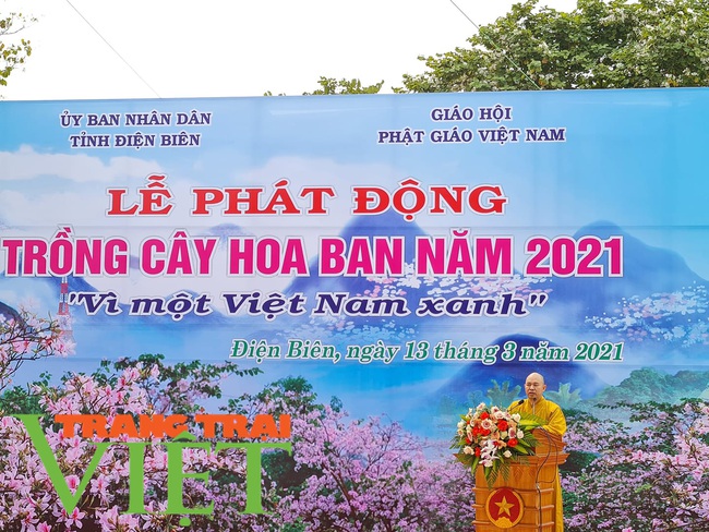 Điện Biên: Phát động trồng 10.000 cây hoa ban “Vì một Việt Nam xanh” - Ảnh 4.