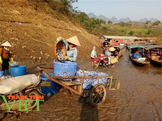 Quỳnh Nhai: Kiếm thu nhập từ làm cá khô sông Đà - Ảnh 2.