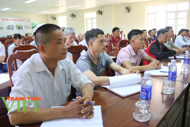 Hiệu quả từ mô hình “nông dân dạy nông dân” ở huyện Mai Sơn - Ảnh 1.