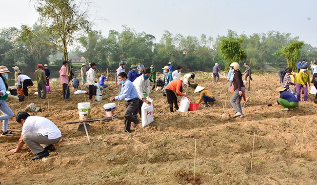 Chủ tịch TT-Huế đến làng cổ trồng mai, chỉ ra 7 nhiệm vụ phong trào “Mai vàng trước ngõ”  - Ảnh 2.