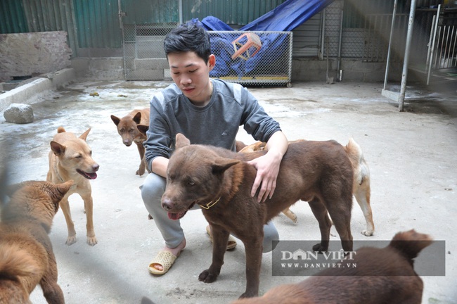 CLIP: Cận cảnh chú chó được ví như &quot;thần may mắn&quot; của người Mông huyện biên giới, trị giá 200 triệu đồng - Ảnh 2.