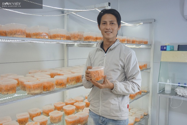 Đà Nẵng: Tự học nghề trồng nấm qua mạng, chàng trai 8X thu lãi 400 triệu đồng mỗi năm - Ảnh 4.