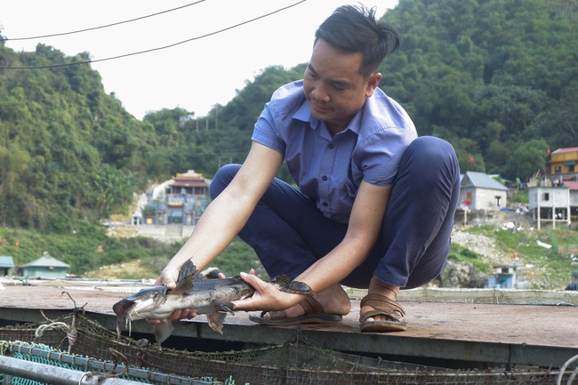 Nông dân đất Mường khá giả nhờ nuôi cá lồng đặc sản - Ảnh 1.