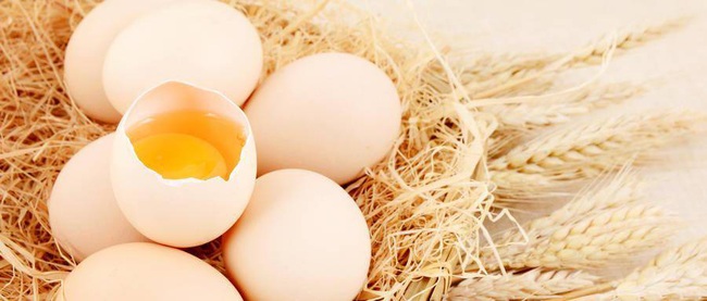 Giá trứng tăng 80%, Nhật Bản và Châu Âu đứng trước “cuộc khủng hoảng trứng gà” trầm trọng nhất chưa từng có trong lịch sử - Ảnh 2.