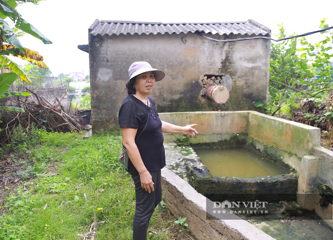 Hưng Yên: Người dân kêu cứu vì ô nhiễm, lo lắng lúa không có nước tưới - Ảnh 3.