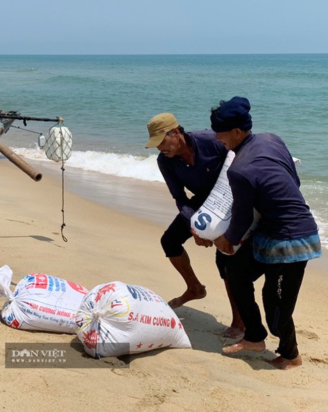 Quảng Ngãi: Sắm vợt sắt khủng dài hơn 8m đi cào ốc bé tẹo, ngư dân kiếm vài triệu/ngày   - Ảnh 8.