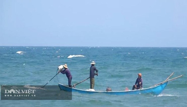 Quảng Ngãi: Sắm vợt sắt khủng dài hơn 8m đi cào ốc bé tẹo, ngư dân kiếm vài triệu/ngày   - Ảnh 5.