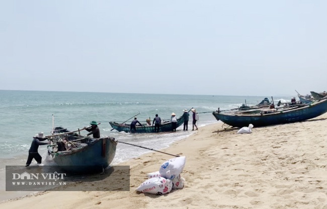 Quảng Ngãi: Sắm vợt sắt khủng dài hơn 8m đi cào ốc bé tẹo, ngư dân kiếm vài triệu/ngày   - Ảnh 7.