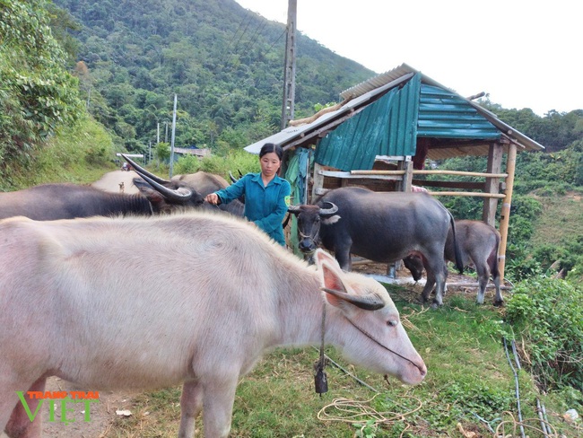 Nậm Nhùn: Hỗ trợ người dân kinh phí làm chuồng trại nuôi gia súc - Ảnh 1.