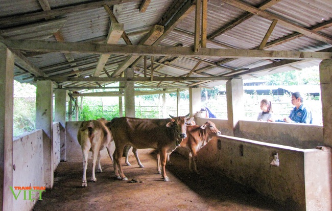 Nậm Nhùn: Hỗ trợ người dân kinh phí làm chuồng trại nuôi gia súc - Ảnh 3.